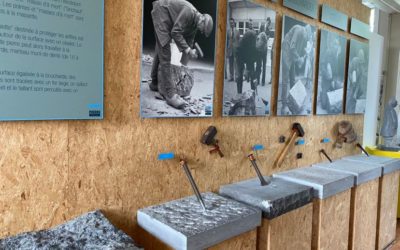 Les incontournables du Musée